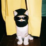 金珩